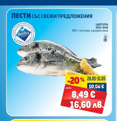 ЦИПУРА