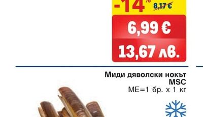 Калмар пипала