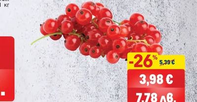 КАСИС ЧЕРВЕН