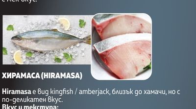 ХИРАМАСА (HIRAMASA)
