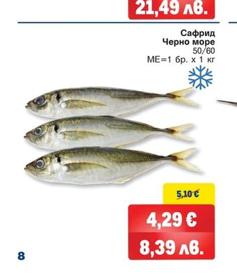 Сафрид