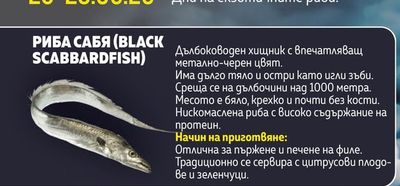 РИБА САБЯ (BLACK SCABBARDFISH)