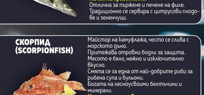 СКОРПИД (SCORPIONFISH)