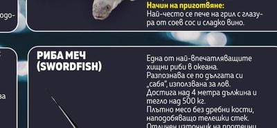 РИБА МЕЧ (SWORDFISH)