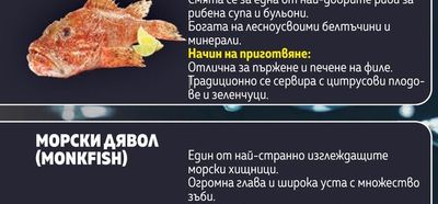 МОРСКИ ДЯВОЛ (MONKFISH)