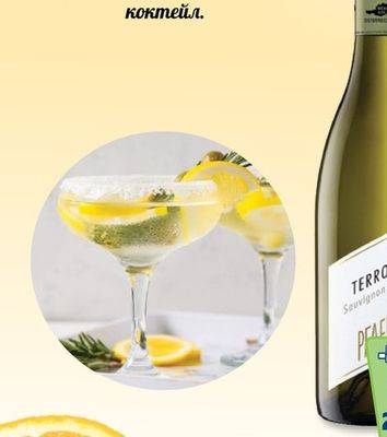 TERROIR TERROIR SAUVIGNON BLANC PFAFFL