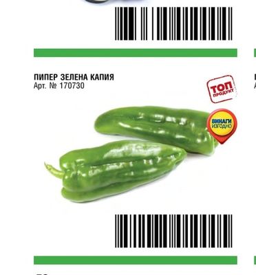 ПАТЛАДЖАН