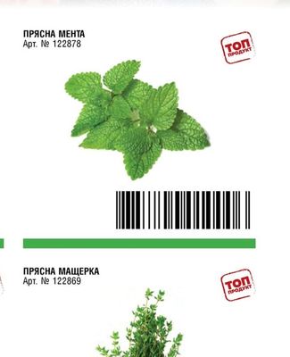 ПРЯСНА МЕНТА