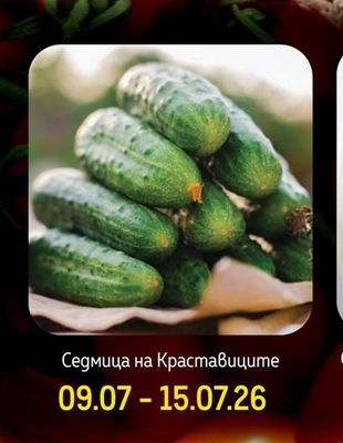 Седмица на Краставиците