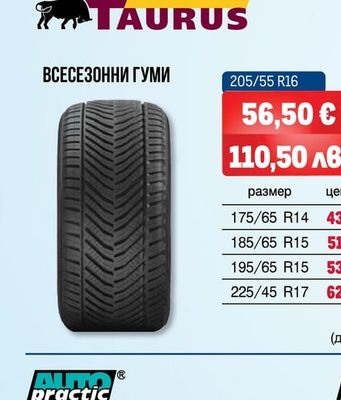 TRIANGLE ЛЕТНИ ГУМИ