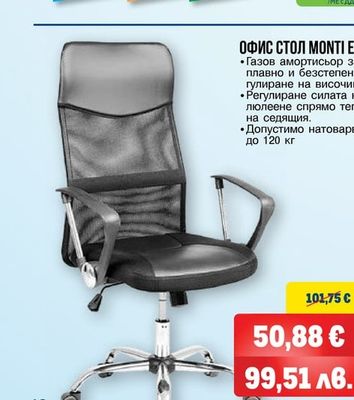 ОФИС СТОЛ MONTI ECO