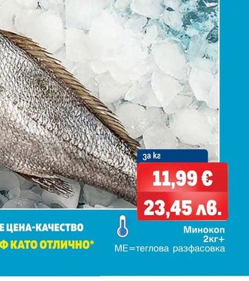 Минокоп