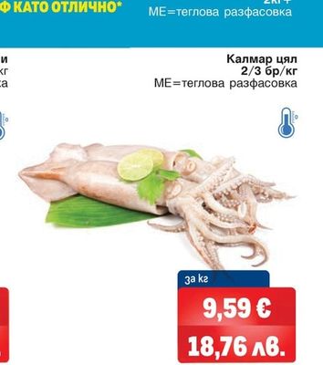 Калмар цял
