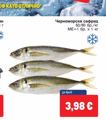 Черноморски сафрид