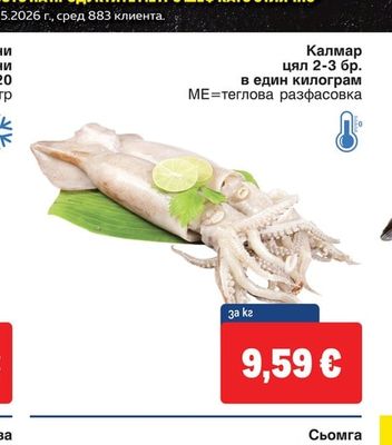 Калмар цял