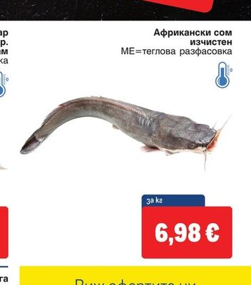 Африкански сом изчистен