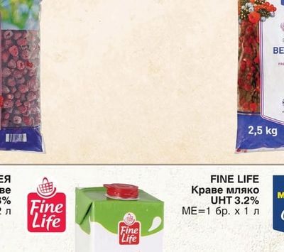 METRO CHEF Горски плодове микс