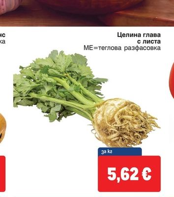 Целина глава с листа