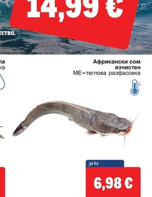 Африкански сом изчистен