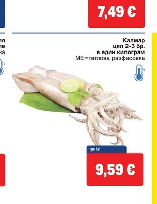Калмар цял
