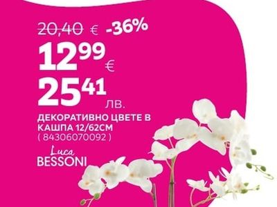 Luca BESSONI ДЕКОРАТИВНО ЦВЕТЕ В КАШПА 12/62CM