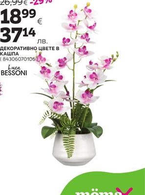 ДЕКОРАТИВНА КУПА