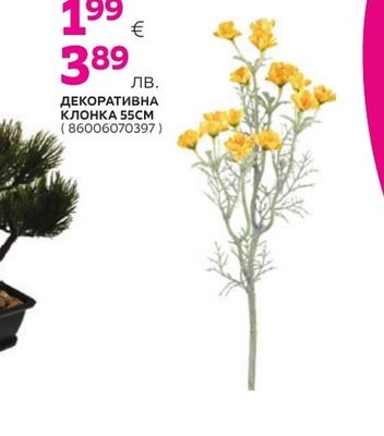 КЕРАМИЧНА ВАЗА