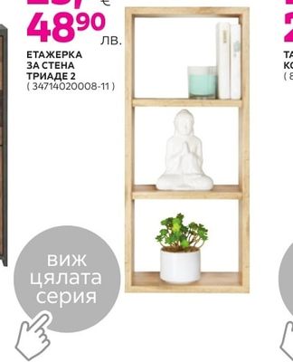 ЕТАЖЕРКА ЗА СТЕНА ТРИАДЕ 2