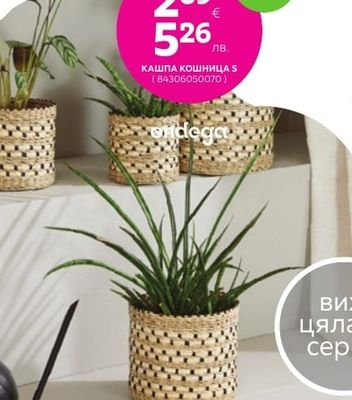 ondega КАШПА КОШНИЦА
