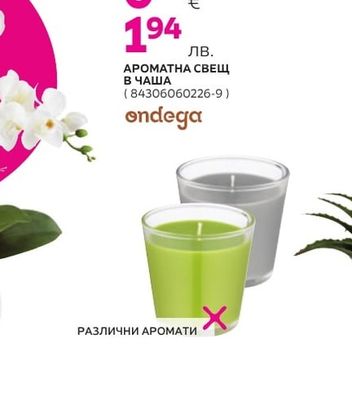 ondega АРОМАТНА СВЕЩ В ЧАША