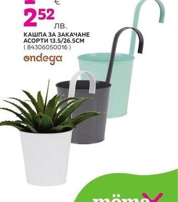 ondega КАШПА ЗА ЗАКАЧАНЕ АСОРТИ