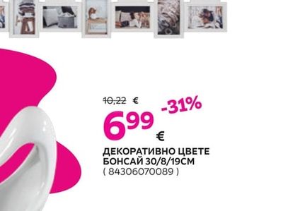 ДЕКОРАТИВНО ЦВЕТЕ БОНСАЙ