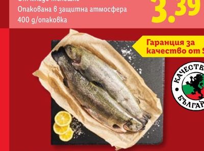 ВЪЗГЛАВНИЦА MAXI COOL