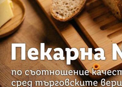 ХОЛНА ГАРНИТУРА РАЙЗ С ЛЯВ/ДЕСЕН ПОДЛАКЪТНИК И ФУНКЦИЯ СЪН