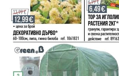 ДЕКОРАТИВНО ДЪРВО
