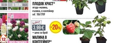 ПЛОДОВ ХРАСТ