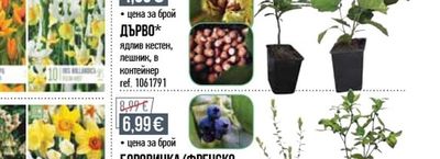 ОВОШКА