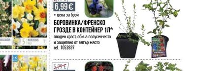 ДЪРВО