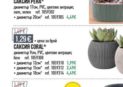 САКСИЯ PERA