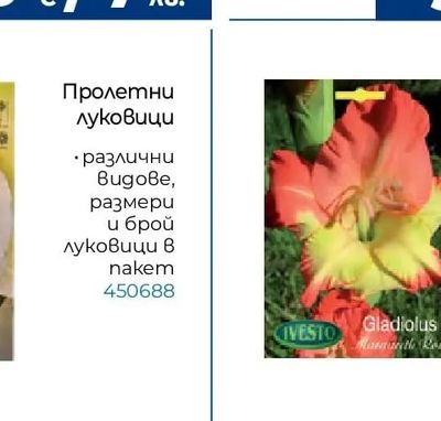 IVESTO Пролетни луковици