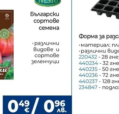 ОРХИДЕЯ ФАЛЕНОПСИС