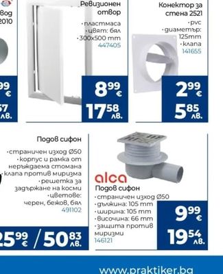 Ревизионен отвор