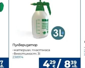Саксия Bloom