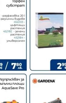Райграс