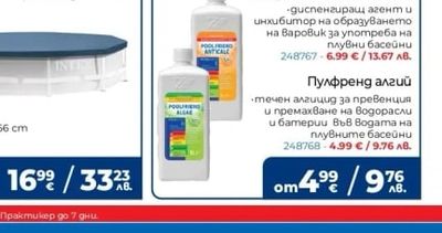 Пулфренд алгий