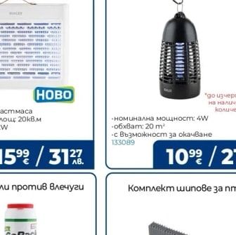 Ехинацея