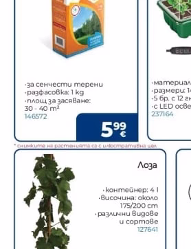 Global Grass Тревна смеска