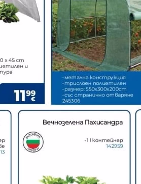 Тунелен парник
