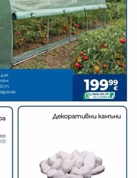 GARDEN KINGS Оранжерия