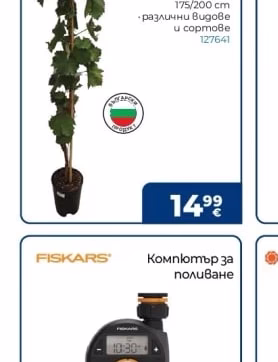 Лоза